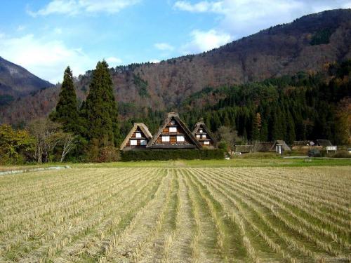 秋の過ごしやすい日もだんだんと終わり １