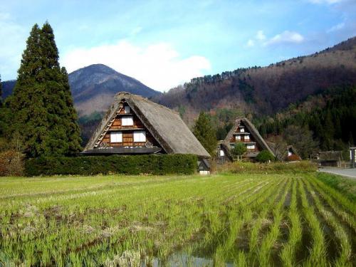 秋の過ごしやすい日もだんだんと終わり ２