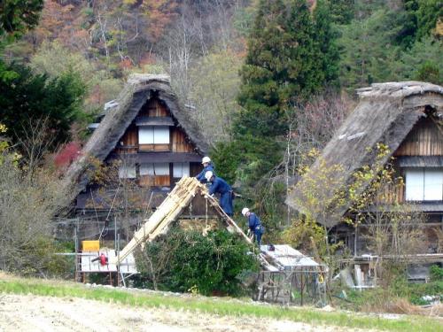 秋の過ごしやすい日もだんだんと終わり ３