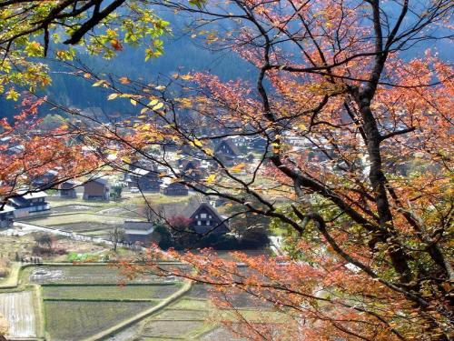 秋の過ごしやすい日もだんだんと終わり ４