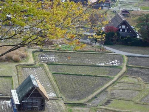 秋の過ごしやすい日もだんだんと終わり ５