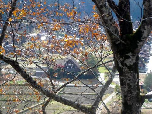 いよいよ朝・晩も冷え込み冬の訪れ１