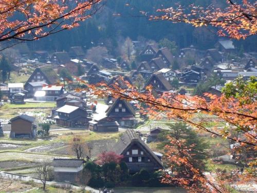 いよいよ朝・晩も冷え込み冬の訪れ２
