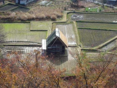 いよいよ朝・晩も冷え込み冬の訪れ３