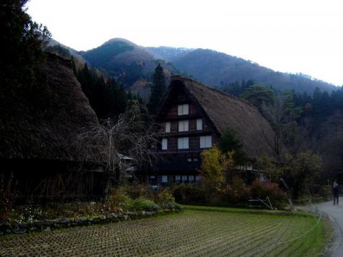 いよいよ朝・晩も冷え込み冬の訪れ６