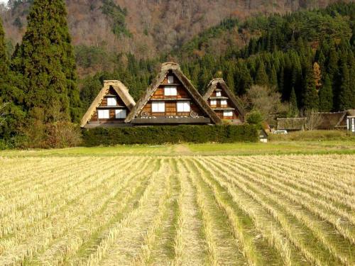 いよいよ朝・晩も冷え込み冬の訪れ９