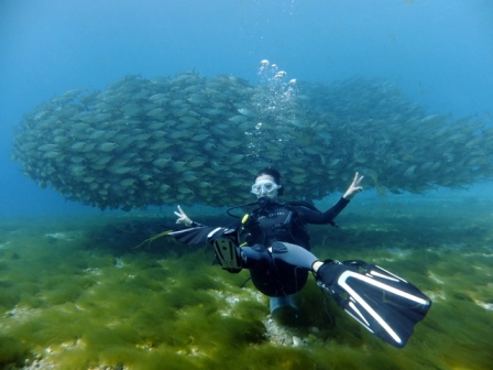 サイパン 体験ダイビング