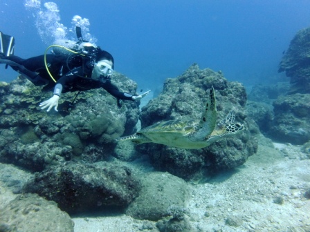 サイパン ダイビングショップ