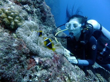 サイパン 体験ダイビング