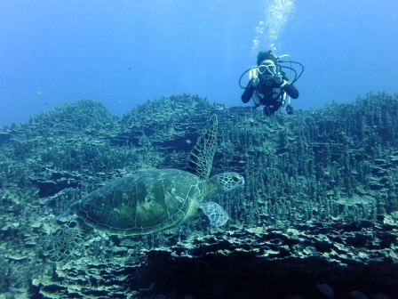 サイパン 体験ダイビング