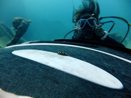 サイパン 体験ダイビング