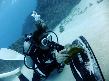 サイパン ダイビングライセンス