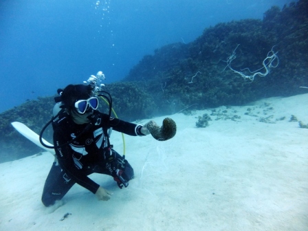 サイパン ダイビングショップ