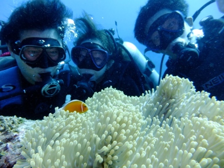 サイパン 体験ダイビング