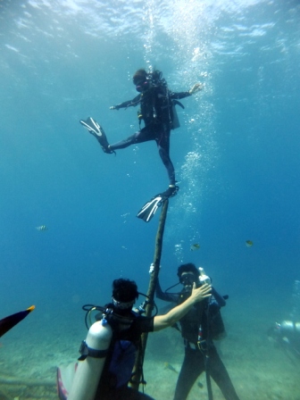 サイパン ダイビングライセンス