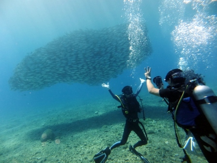 サイパン 体験ダイビング