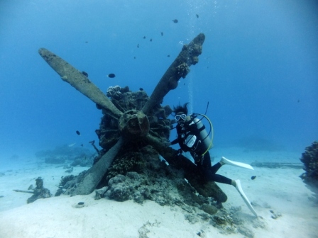 サイパン ダイビングライセンス