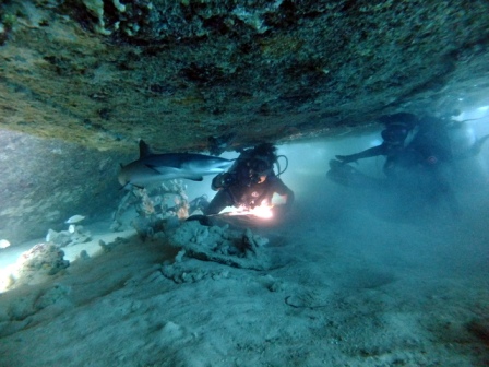 サイパン ダイビング