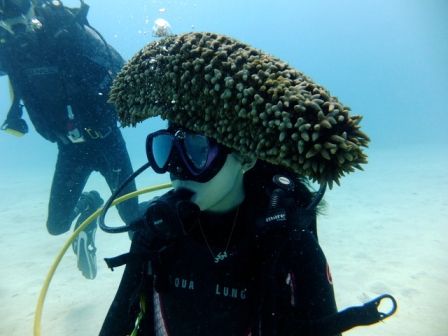 サイパン 体験ダイビング