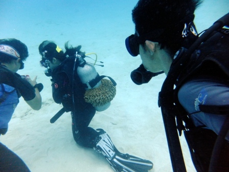 サイパン ダイビングライセンス