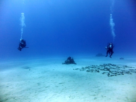 サイパン ダイビングライセンス