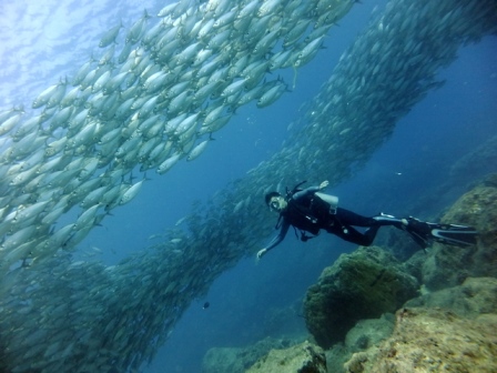 サイパン ダイビング