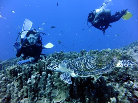 サイパン ダイビング