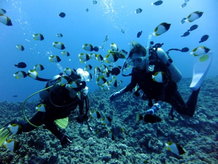 サイパン ダイビング