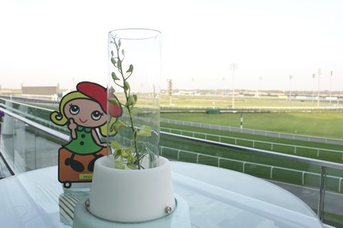 競馬場のコース前で記念撮影