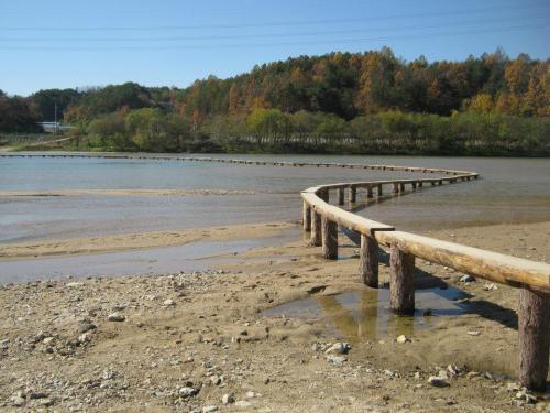 ムソム村の一本橋