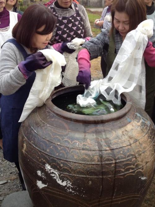 からむし５染色