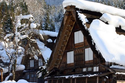 世界文化遺産の白川郷は真っ白 ６