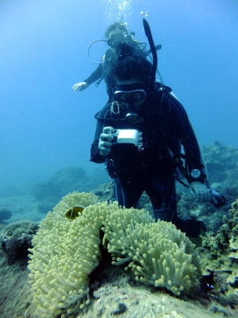 サイパン ダイビング