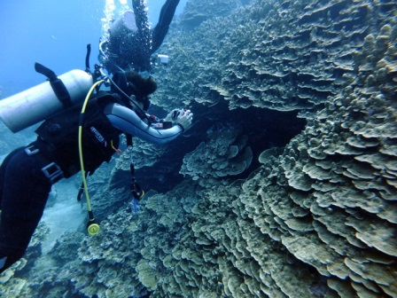 サイパン ダイビング
