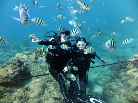 サイパン ダイビング