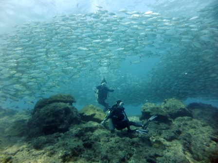 サイパン ダイビング