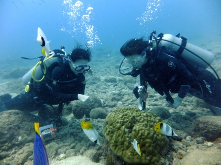 サイパン ダイビング