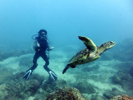 サイパン ダイビング