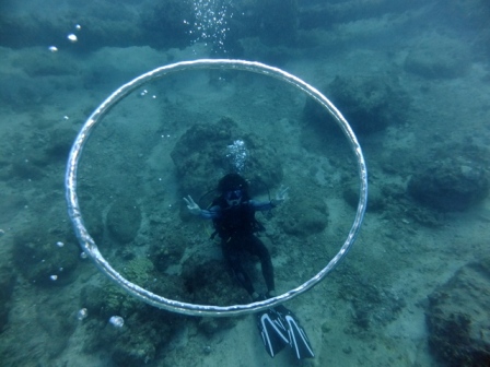 サイパン ダイビング