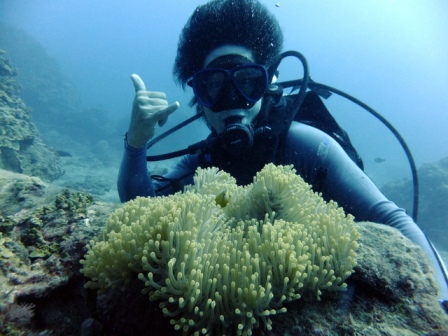 サイパン ダイビング