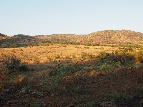 ピーランズバーグ国立公園1