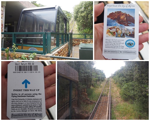 ケープポイントへケーブルカーで