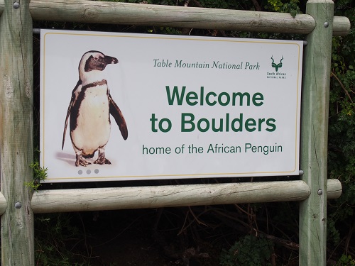 ボルダーズ・ビーチ1