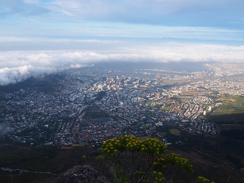 眼下に広がるケープタウン2
