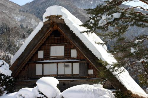 雪国ならではの視界すべてが真っ白 2