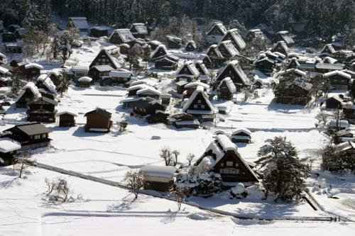 雪国ならではの視界すべてが真っ白 3