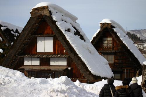 雪国ならではの視界すべてが真っ白 4