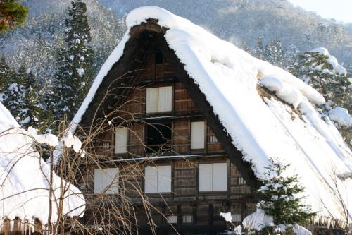 雪国ならではの視界すべてが真っ白 5