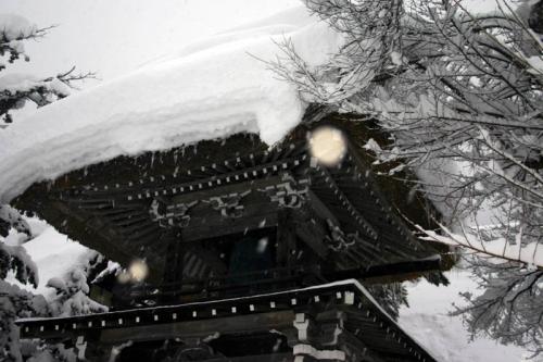 雪国ならではの視界すべてが真っ白 7