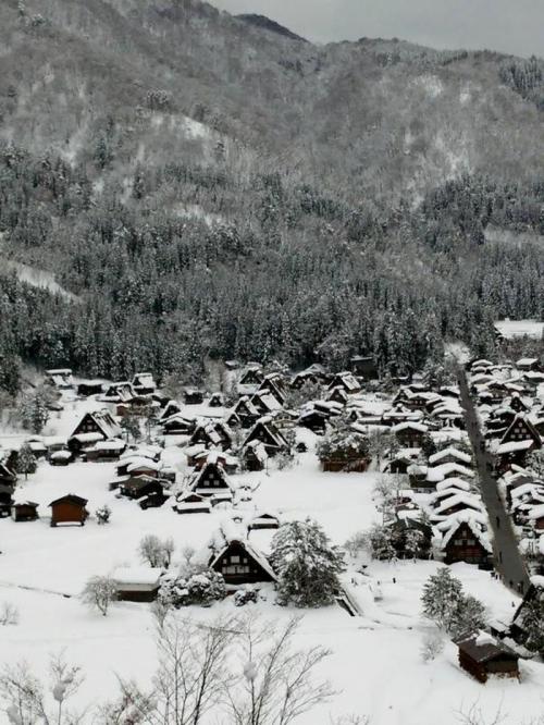 見渡す限りにふんわり続く白銀の風景 １